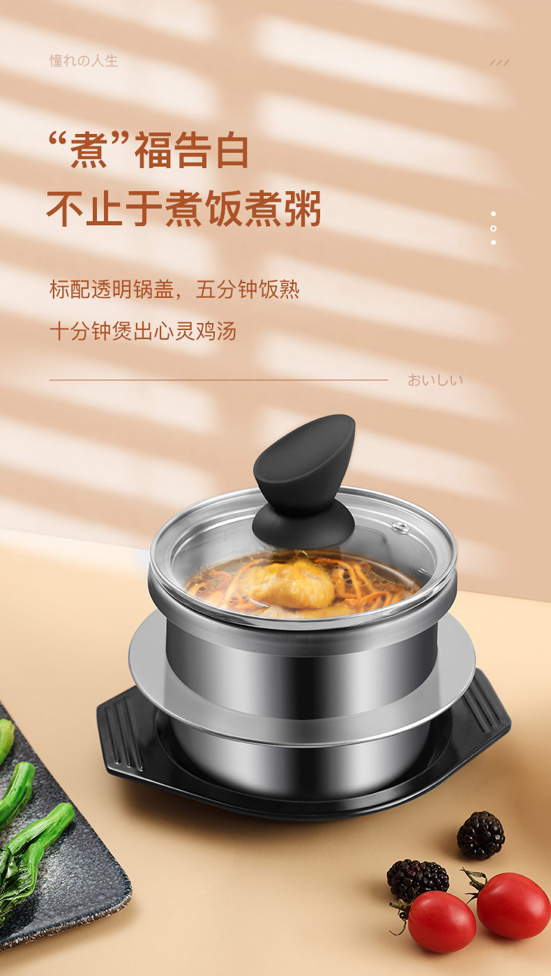 Mini pressure cooker