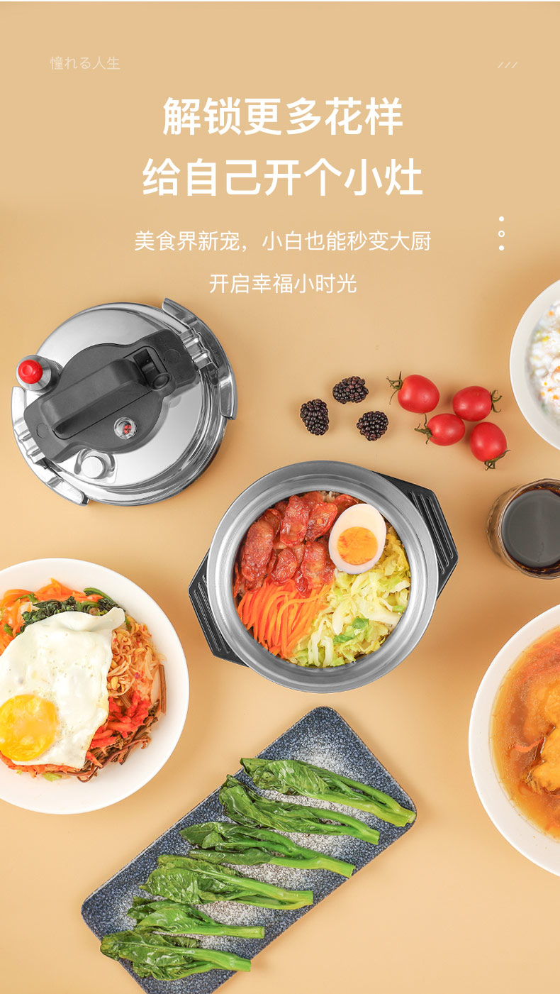 Mini pressure cooker