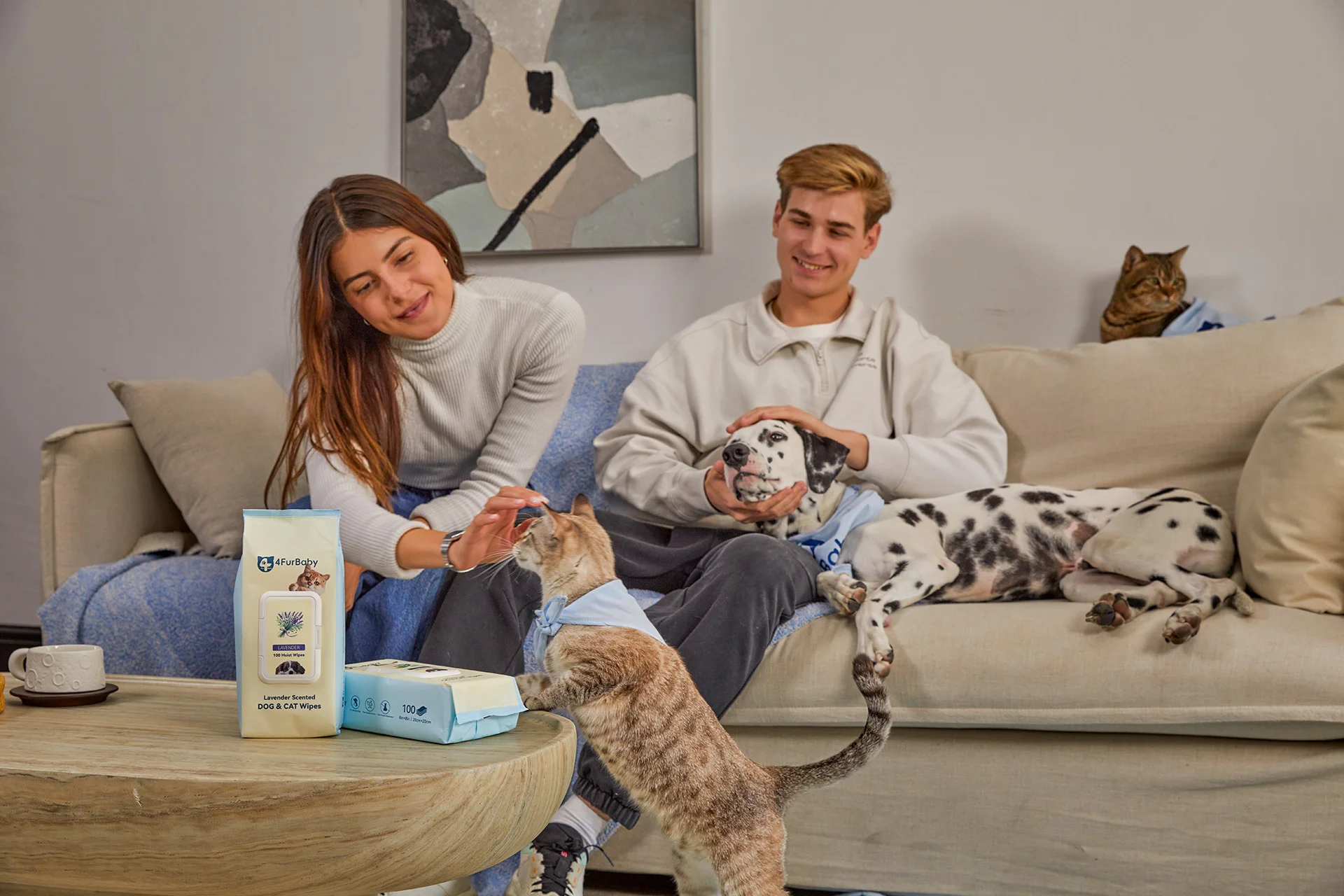 A lifestyle product photography series for pet wipes, created around cats, dogs, and everyday home environments. Packaging shots, handheld details, and natural pet-owner interaction show how the product fits into daily pet-care routines while building a warm, recognizable brand presence.